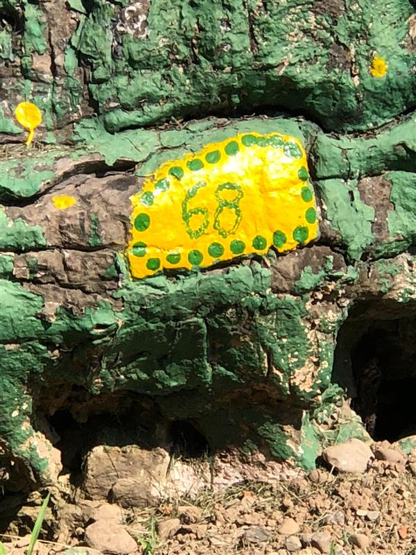 A 68 painted on the rock in gold and green